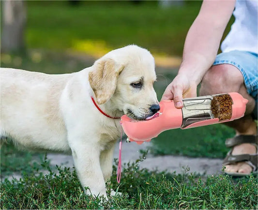 Pet Water Bottle 1